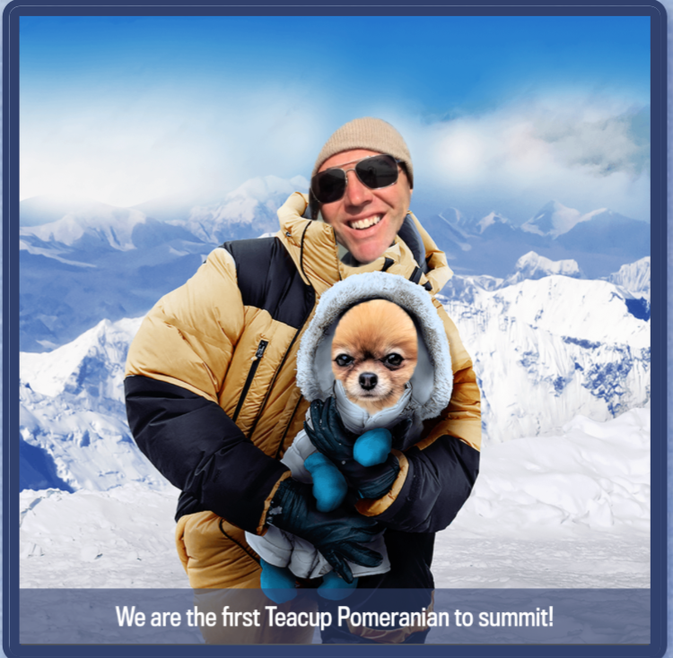 fsuvic09's tweet photo. @LastWeekTonight That’s right, First Teacup Pomeranian to climb MT. Everest.  #iclimbedmounteverest. https://t.co/SxfgJDVVLY