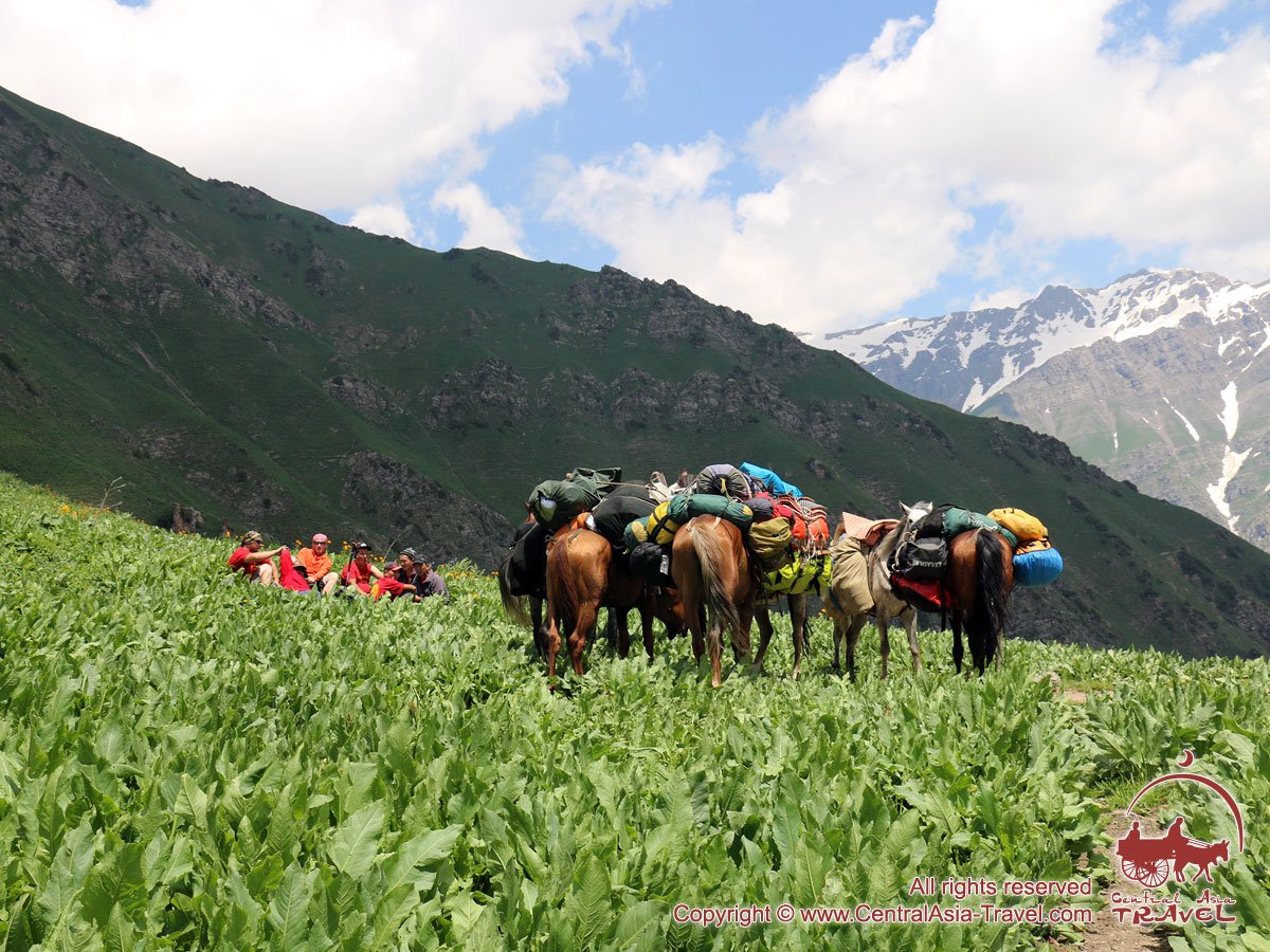 viajesporasia's tweet photo. 🤩#TianShan y #ElPamir sueño y desafío😃#lagoscolorturquesa #ElTechoDelMundo #pilaf #Plov #yurtas Si crees lo tuyo es la naturaleza y #trekking solo te queda vivirlo📌 Grupo2 28.07–04.08.2019
US💲880🔎https://t.co/uafhnWfaWF
📧espanol@centralasia-travel.com #aventura #senderismo https://t.co/eQR89jGn6I