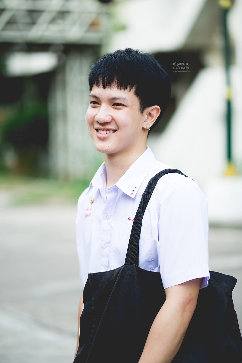 ช้างเผือกอยู่ในป่า tweet media