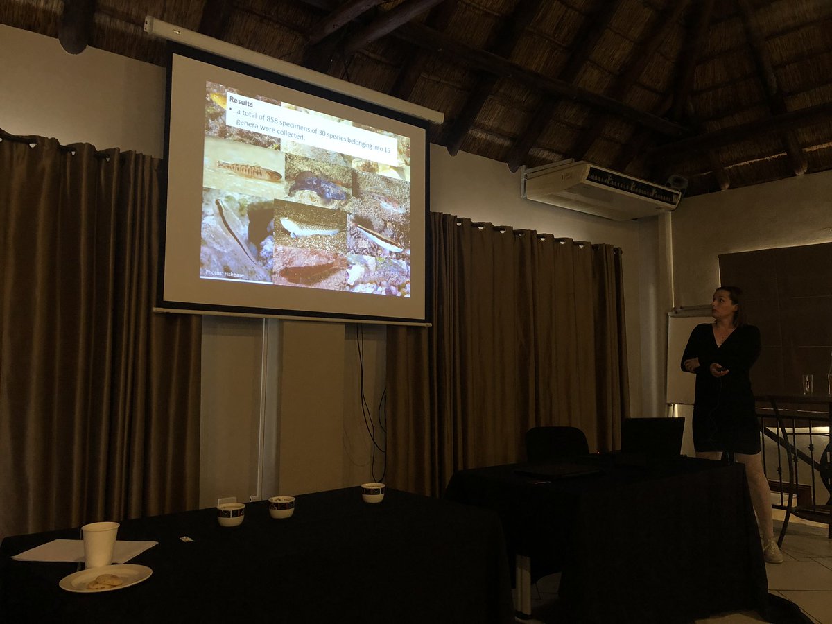 AliHalajian's tweet photo. #SASAqS2019 2nd day,
#IvaPrikrylova @NWU_WRG giving a talk on #monogenean #Gyrodactylus #parasite of #gobiid #fish in #Mediterranean sea.
Diversity, #taxonomy, molecular study... #FishParasites #FishParasitology https://t.co/lJsJpo6mHj