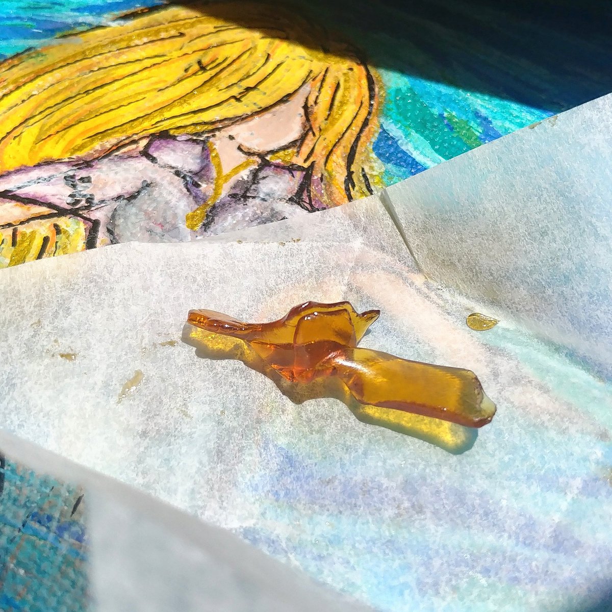 rtoab's tweet photo. Getting ready for kick-ass fitness training this morning! First day back with Sonia after two weeks. Here's hoping my brain and body cooperate. 😘💨💜🌿

#WakeAndBake #WakeAndPartake #PartakeResponsibly #PartakeInStyle #PatientStories #MMJ #Epilepsy

(#MendoBreath from #Harvest.) https://t.co/6yBBoWrqvR