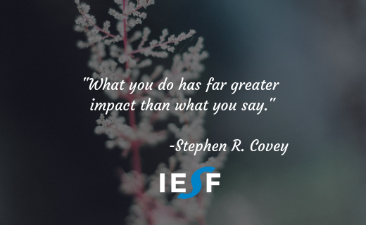 IESFcom's tweet image. 