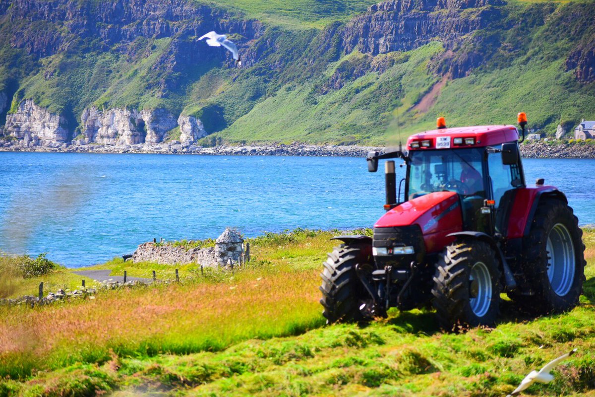 MargotMcCuaig's tweet photo. This farming life. Well not mine, the actual farmers. I’m just a happy, admiring observer watching the hay being kicked and new lift springing into the sky!
#Rathlin #islandliving #islandlife #islandsofireland #farminglife #farming #dancingcows #calf #calves #tractor #harvest https://t.co/29ErEwBU5Q