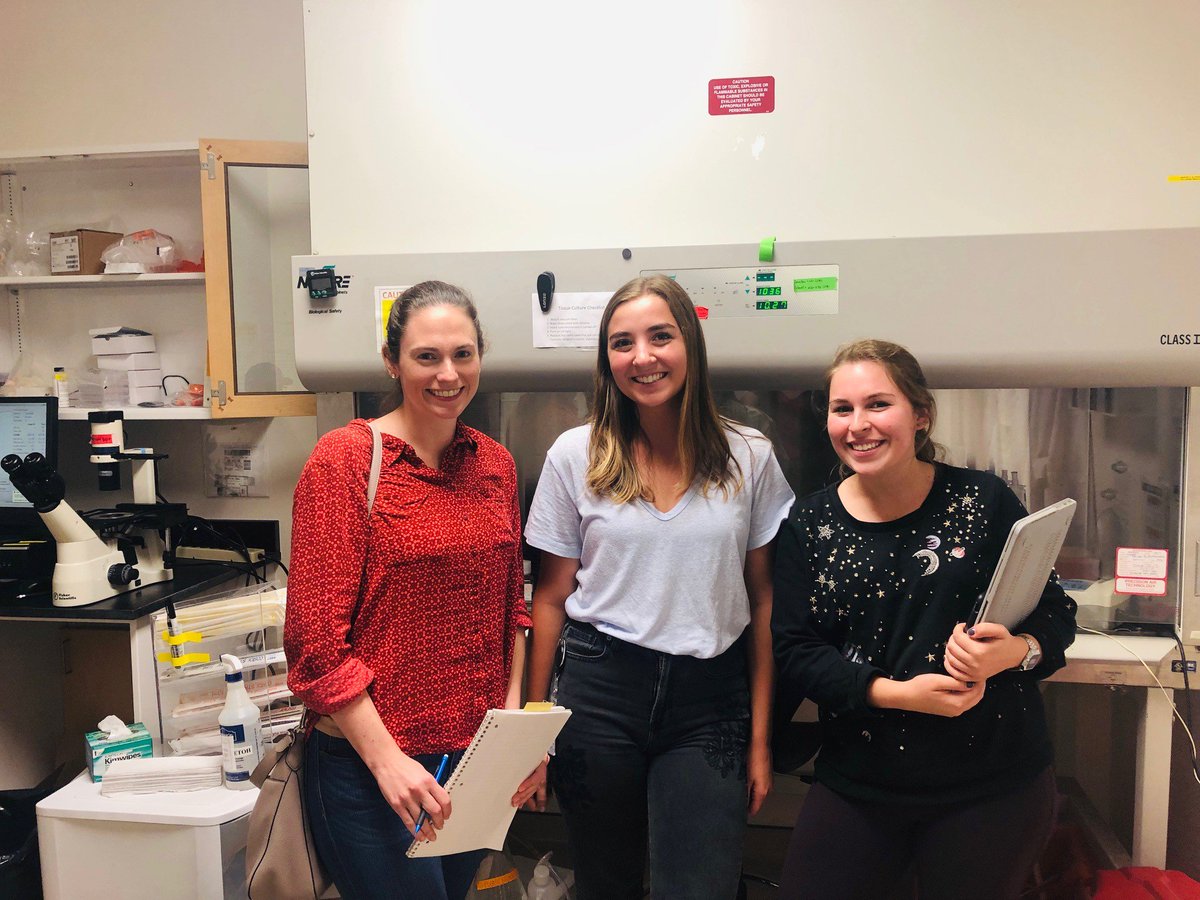 IEHS_UNC's tweet photo. UROP students and @IEHS #ESE Associate Professor Julia Rager are meeting at the #Frylab to discuss current #research and share experiences https://t.co/rdA3c6yXcP
