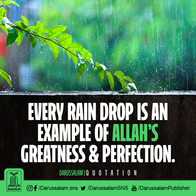 DarussalamSNS's tweet photo. Every rain drop is an example of Allah’s Greatness and Perfection.
Allah Ke 99 Khubsurat Naam: https://t.co/EwLfFcSqLr
#IslamicQuotes #MiracleOfAllah https://t.co/VCQwP8UqAY