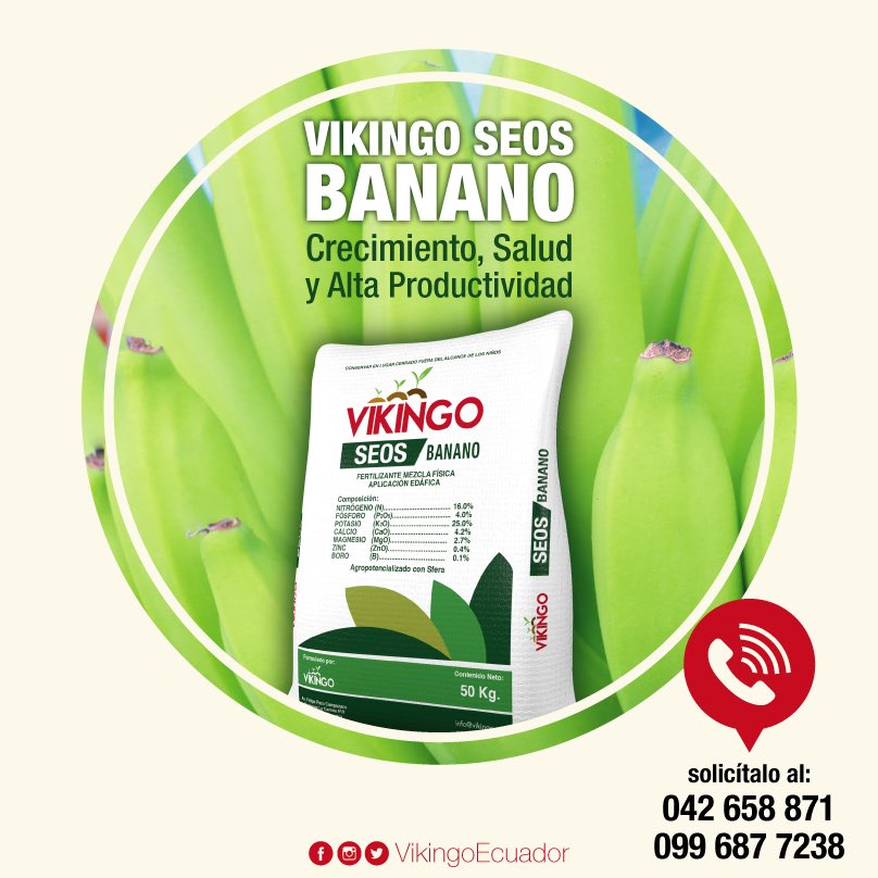 VikingoEcuador's tweet photo. ¿Necesitas alta eficacia en la producción de Banano? VIKINGO SEOS BANANO es tu mejor aliado, un fertilizante hecho a la medida para tu tipo de suelo. #banano #fertilizante #agricultor #agricultura #VikingoEcuador #cultivos #suelo https://t.co/dOn7rE9UEc