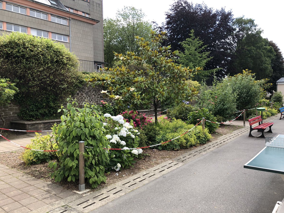 Le collège est bien calme après le départ des derniers candidats du #DNB2019 Rendez-vous le 10 juillet à 10h pour les résultats