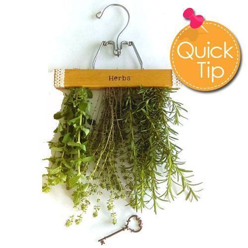 arizonapottery's tweet photo. Now is the time to make a push to dry your potted herbs to have for holiday cooking. Here is a clever tip. Use a pant hanger to hang and dry your harvested potted herbs. A hanger with a clamp, as pictured. #PotTip #ArizonaPottery https://t.co/CyBE5cePgD