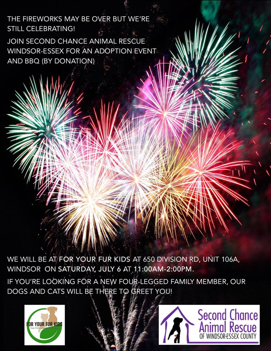 scarescue's tweet photo. Join @scarescue for an Adoption Event &amp; BBQ @ForYourFurKids at 650 Division Rd, unit 106A, Windsor on Saturday, July 6 at 11am-2pm. Meet available dogs &amp; cats! #AdoptDontShop #RescueDogs #rescuecats #YQG #BBQ https://t.co/p7gNtiPlSl
