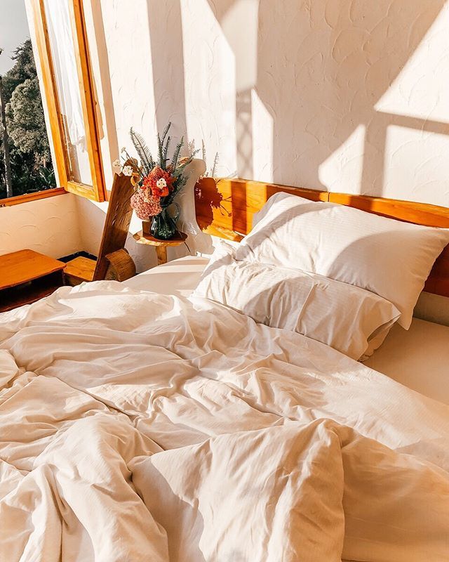 Lush Atitlan tweet media