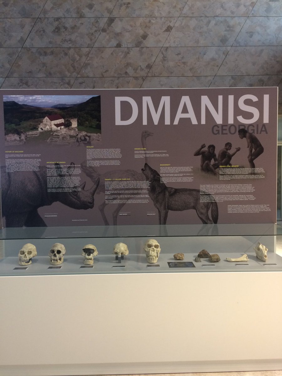 marcyrockman's tweet photo. Happy to see early hominids and their tools from Dmanisi celebrated as #WorldHeritage at #WHCBaku2019 #WHC43com https://t.co/8lk30Jfryw