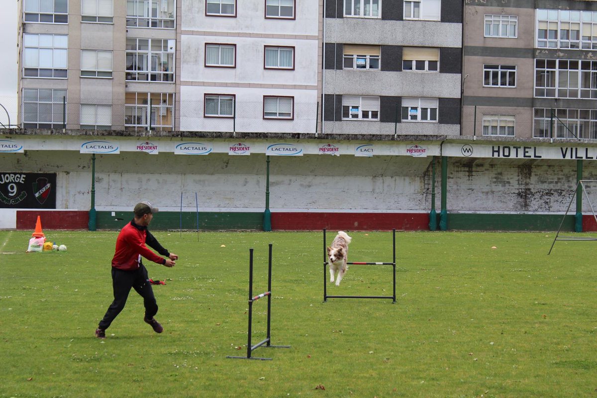campusrcv's tweet photo. Día 2️⃣ do Campus RCV19 rematado ✅👶⚽️🐶
Máis fotos do día no noso Facebook e Instagram 😉 https://t.co/pbZqsigHlr