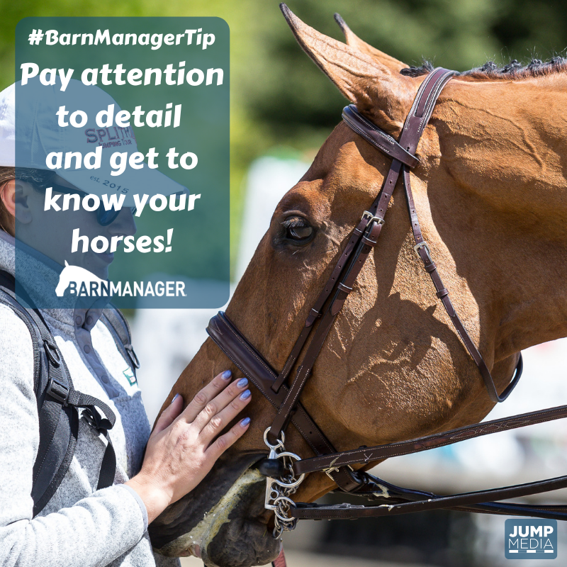 BarnManager1's tweet photo. #BarnManagerTip Courtney Carson (@courtlee26), head groom and barn manager for @DPequestrian says, "Get to know your horses - their legs, coat, skin, eating habits, turnout behaviors - and use it to your advantage." https://t.co/cgw2gkMfHB