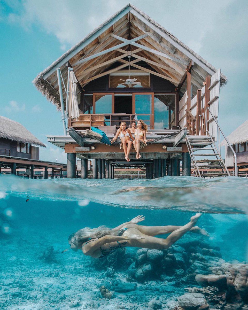 SLMaldives's tweet photo. It doesn't matter if you're over or underwater, if you've got the #MaldivianBlues. #ShangriLaMaldives #Travel #BeyondParadisel
📸: @gabbyepstein via IG https://t.co/jd6yCyqZw6