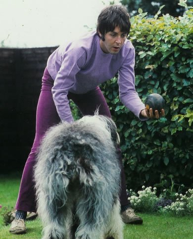 PamelaEnMix's tweet photo. #SabiasQue Paul Mc Cartney recordó a su mascota Martha que vivió 15 años con él y a quién dedicó la canción 'Martha My Dear' en una carta al presidente de una universidad en Texas donde experimentan distrofia muscular en perros, pidiéndole que se detenga *😞 https://t.co/HAyp2BZcgT