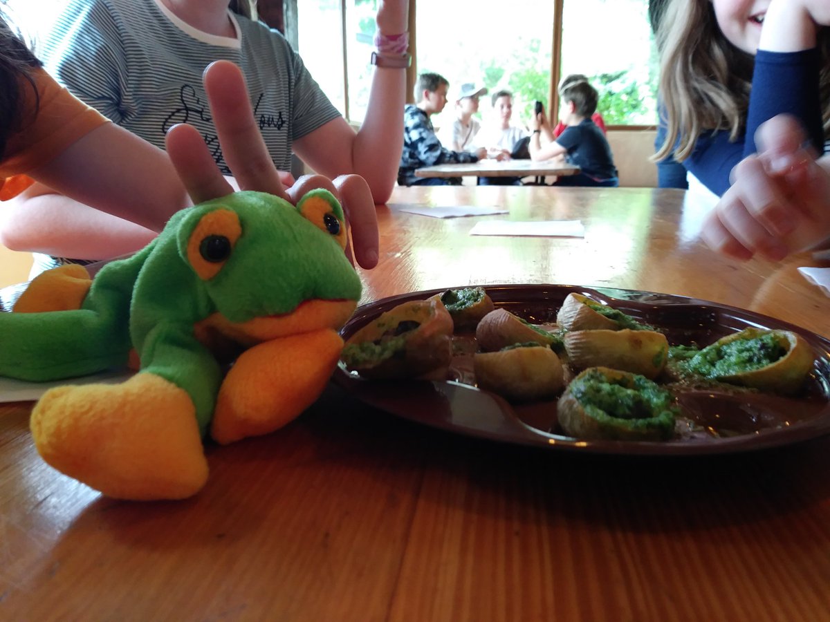 KeswickSchUK's tweet photo. #GG has had a bit of a stressful time at the snail farm but we've managed to comfort her with some cider and biscuits #FrenchTrip2019 #culturevultures #itainteasybeinggreeninFrance #frogproblems https://t.co/CnfnYZPebd