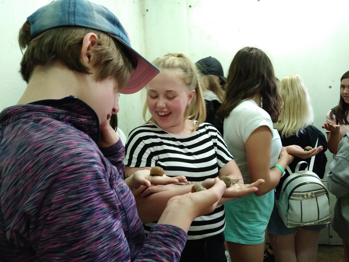 KeswickSchUK's tweet photo. #GG has had a bit of a stressful time at the snail farm but we've managed to comfort her with some cider and biscuits #FrenchTrip2019 #culturevultures #itainteasybeinggreeninFrance #frogproblems https://t.co/CnfnYZPebd