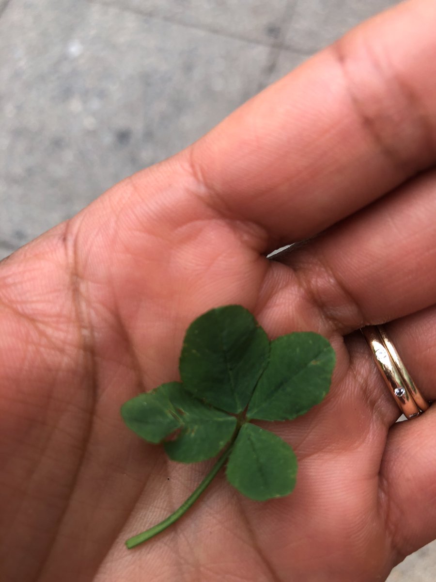 GitaPensaMD's tweet photo. Wow, two in one day!! 
Here’s to good things that happen while dawdling
#luckyday #spreadtheluck https://t.co/ZrMCoel7gu