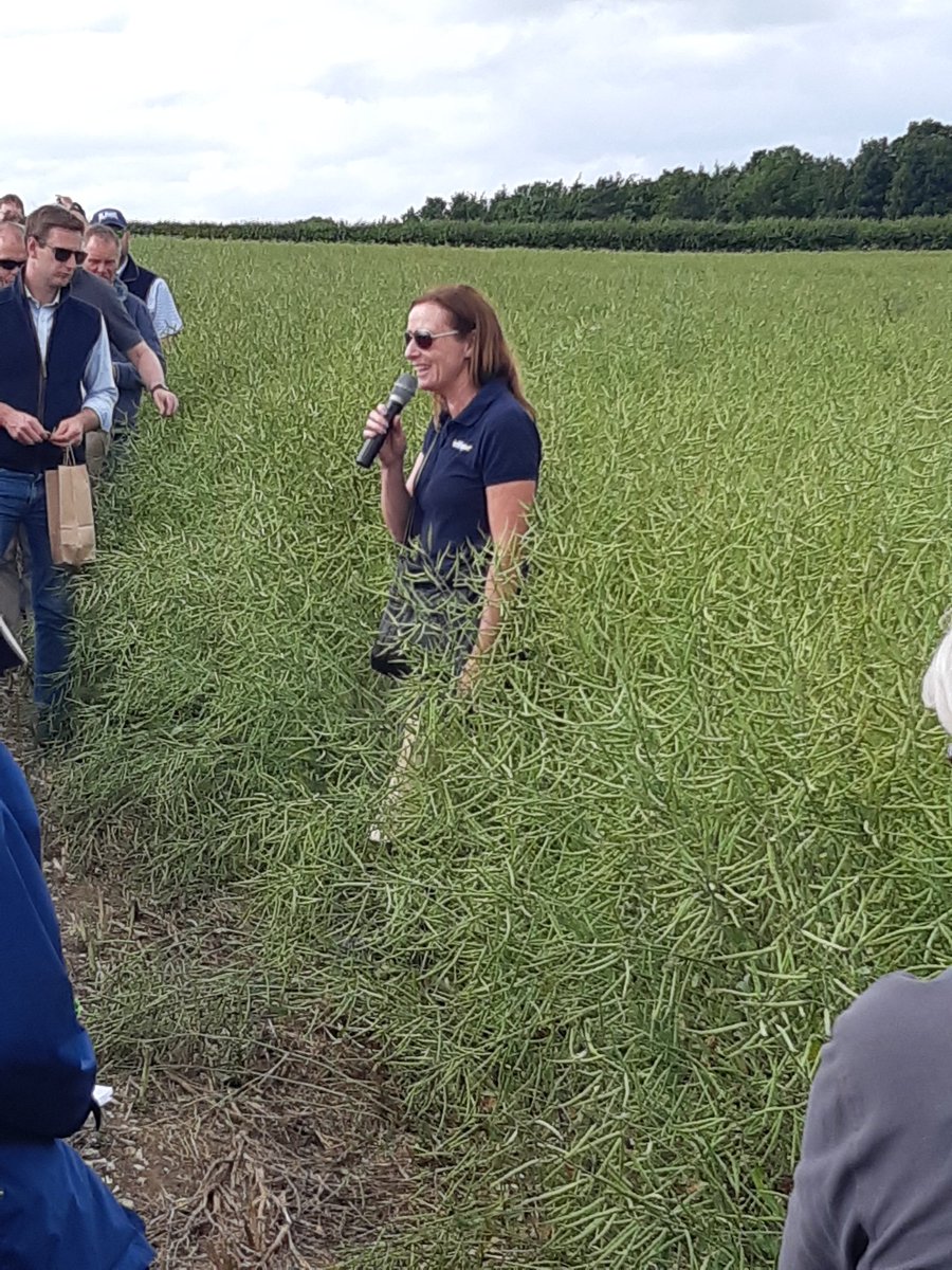 m_agsolutions's tweet photo. Trials tour is underway. Sharing the benefits of #InVigor #Smaragd the new hybrid to join the @Invigorosr_uk portfolio for Autumn 2019. #FitFastStrong https://t.co/NAKPIVd45H