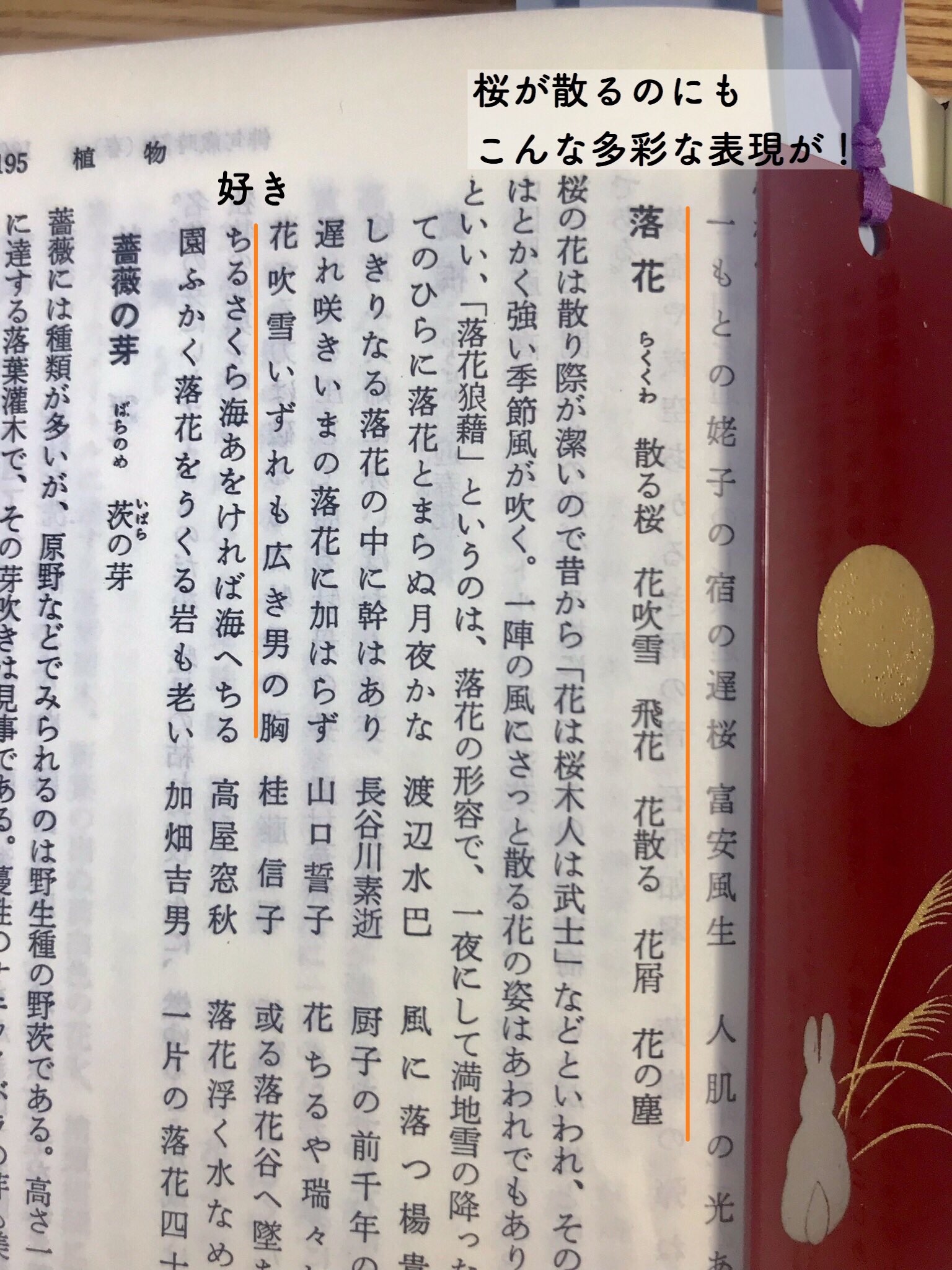 さよのすけ 情景描写が上手くなるには何食べればいいの 神作家の腕 っていうツイが流れてきたけど 神作家の腕を噛み千切る前に 角川の合本俳句歳時記食おうぜ 五七五で 季節感はもちろん 美しいものも醜いものも感情もエロスまで表現してきた