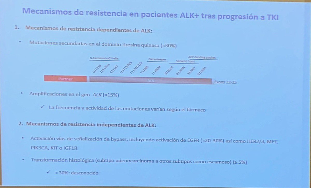 marta_msalido's tweet image. Detección de reordenamiento de ALK en pacientes con CPCNP #CodingLungCancer #powerFISH