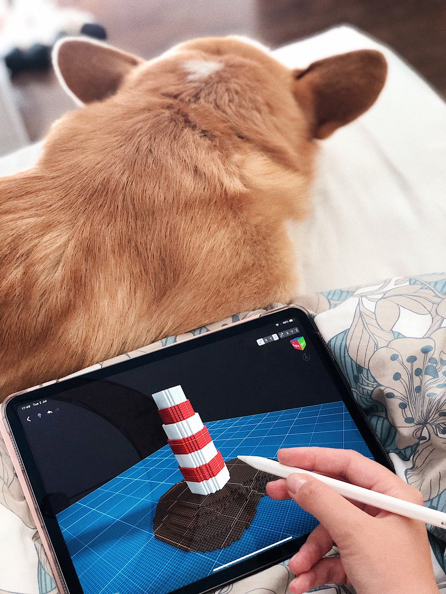 voxel__bunny's tweet photo. Playing with @VoxelMax with the help of very uninterested creative advisor. Still looking for ways to work from iPad when tired of sitting in front of PC. So far this app has been good!

#Voxel #VoxelArt https://t.co/ygyi9FEsHA