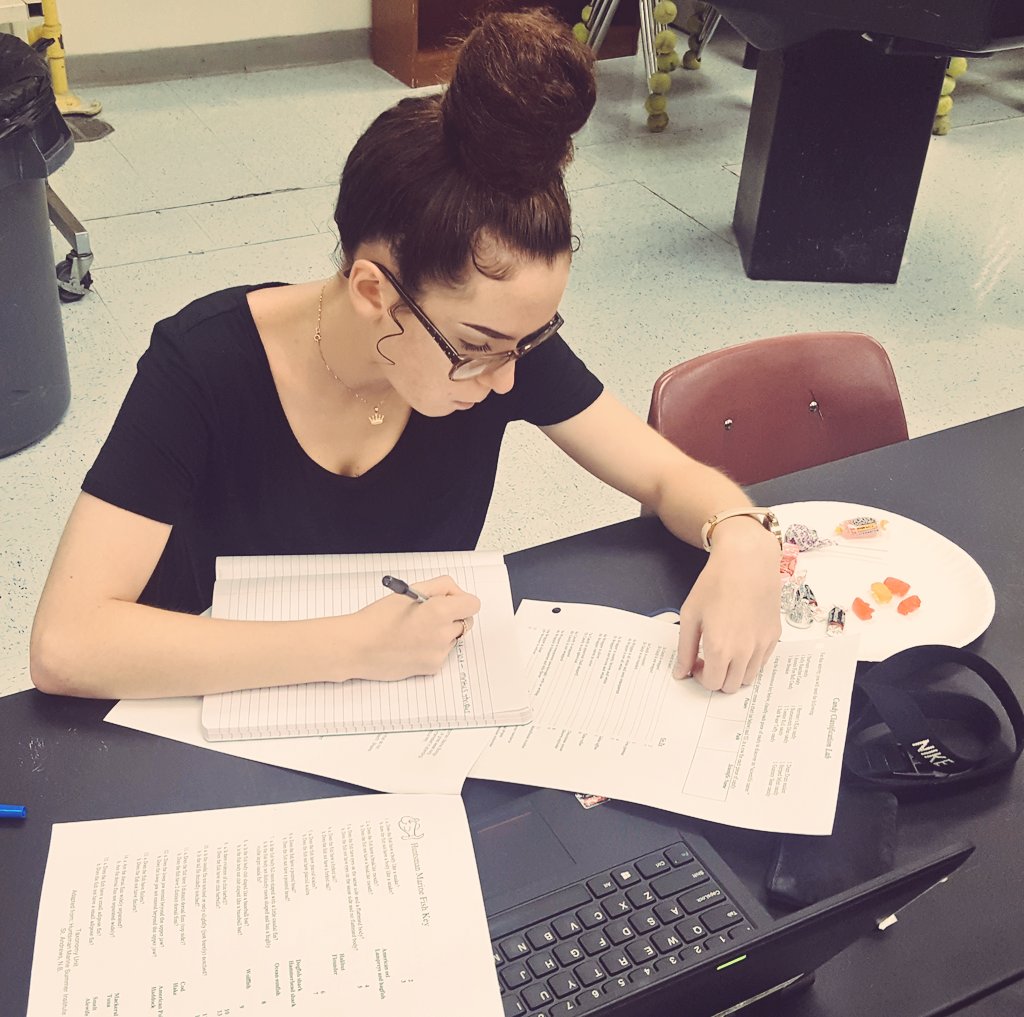 lauraf422's tweet image. Day 2 @PineRidgeHS for #jumpstartbio2019. Classification with candy and then fish! A little harder than we thought🤔! Still debating over Haddock and Cod🐟! #vcssummer @VCSscience