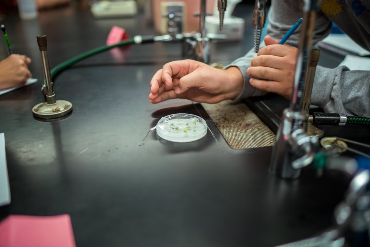 TrinityTroll's tweet photo. We're proud of the Trinity students and their professors who have received the prestigious Maurice VanderVelde Junior Scholarship Awards for 2019-20! #biology #chemistry #christiancollege #trinityadvantage #trinityproud: https://t.co/ShaUogkaRd https://t.co/C4efBsmZyX