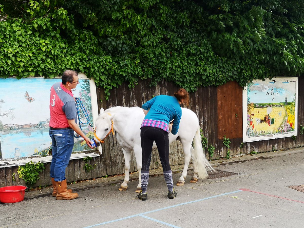 FVandNY's tweet image. @FVNYFederation
Non-fiction writing at FV!
A huge thank you to Mr &amp;amp; Mrs Scott and Olivia for bringing their pony into school and demonstrating how to groom an look after "Colin".
The children will be writing instructional and then explanatory texts based upon what they've learnt.