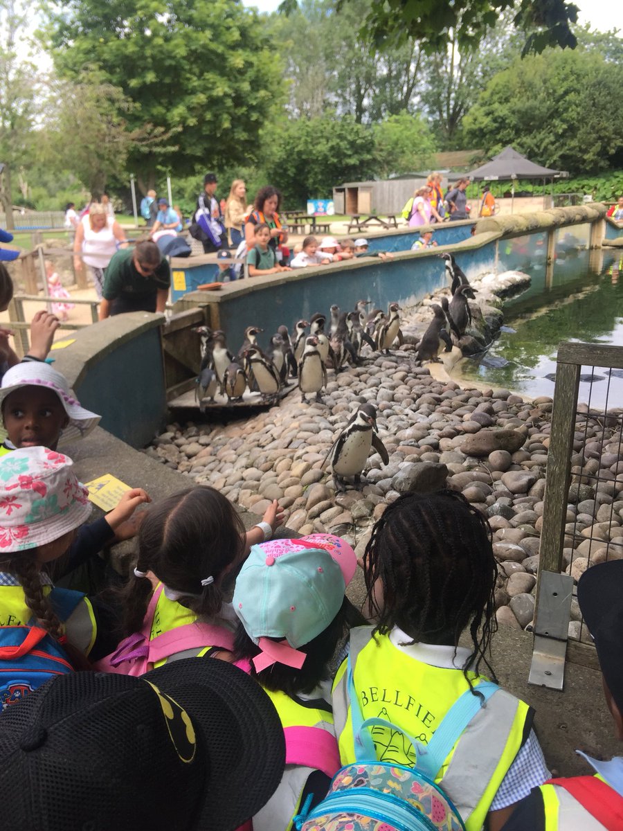 RecBellfieldi's tweet photo. Reception had a wonderful day at Twycross Zoo. They were beautifully behaved and were a credit to the school. A tiring but fun day was had! https://t.co/1NUmHLNg8z
