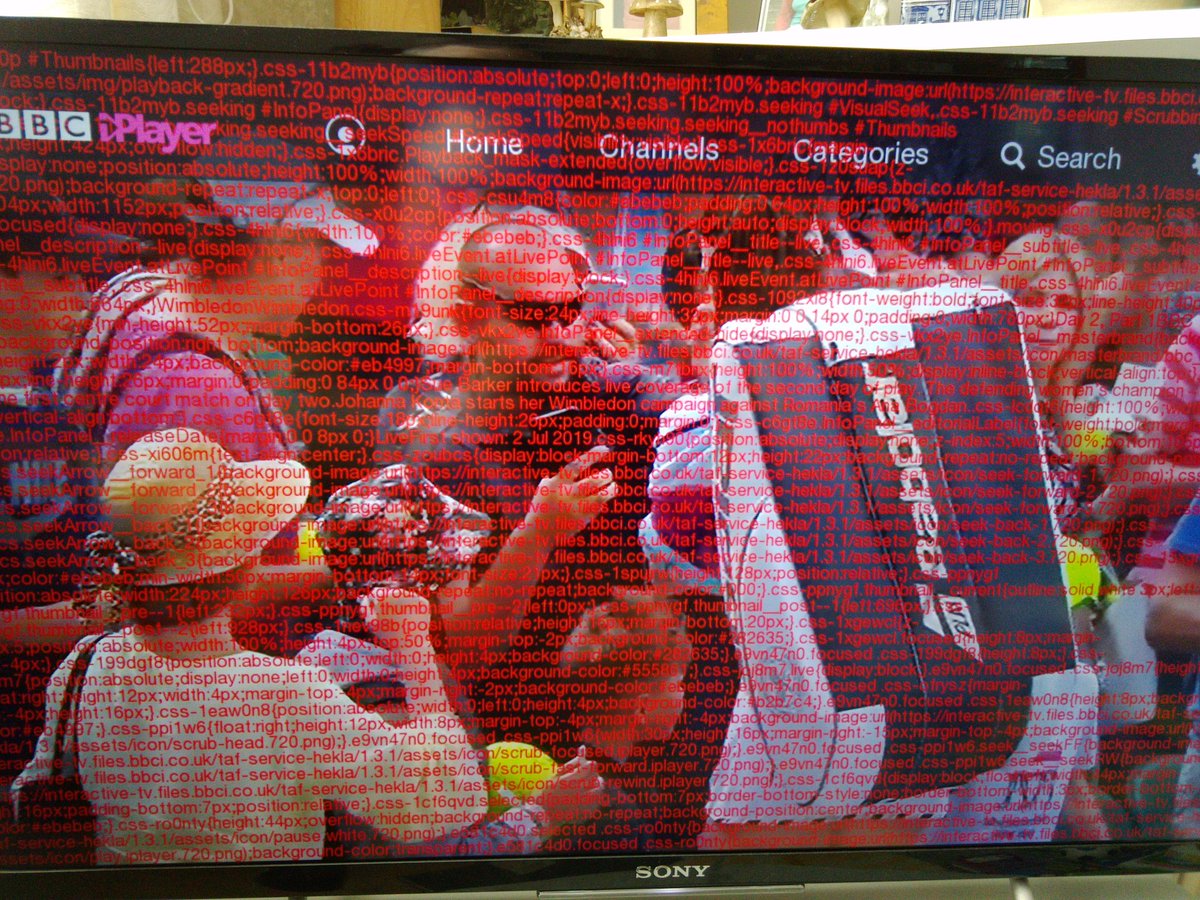 reliquatessen's tweet image. #Wimbledon #BBCRedButton #cssfail