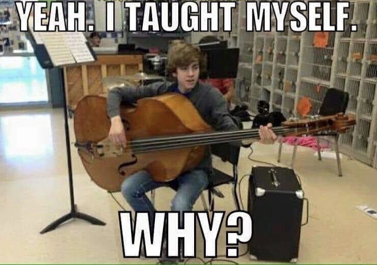 WhitefieldScott's tweet photo. #musiceducation #strings #doublebass https://t.co/q9frPQIs6u