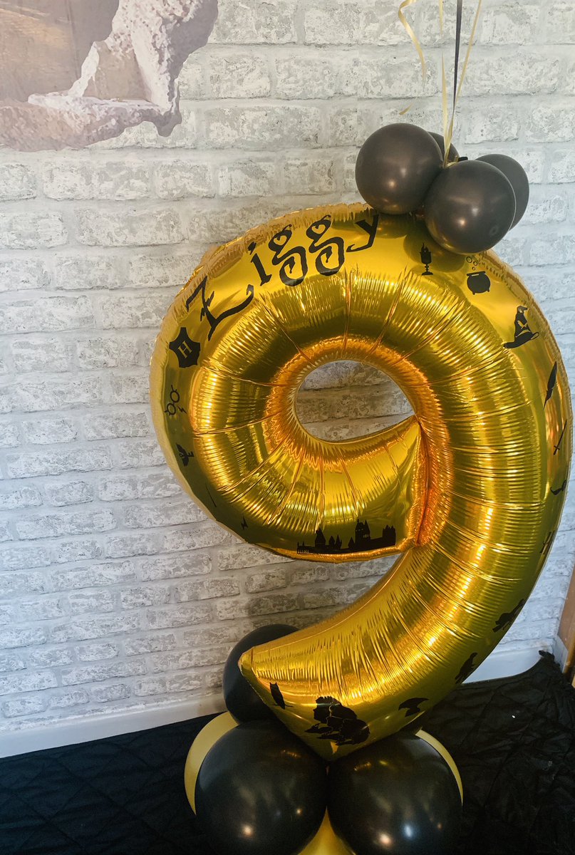 Queen_Ink_ite's tweet photo. @MissJull1 Ziggys Harry Potter balloon x https://t.co/voRxoEdfzO