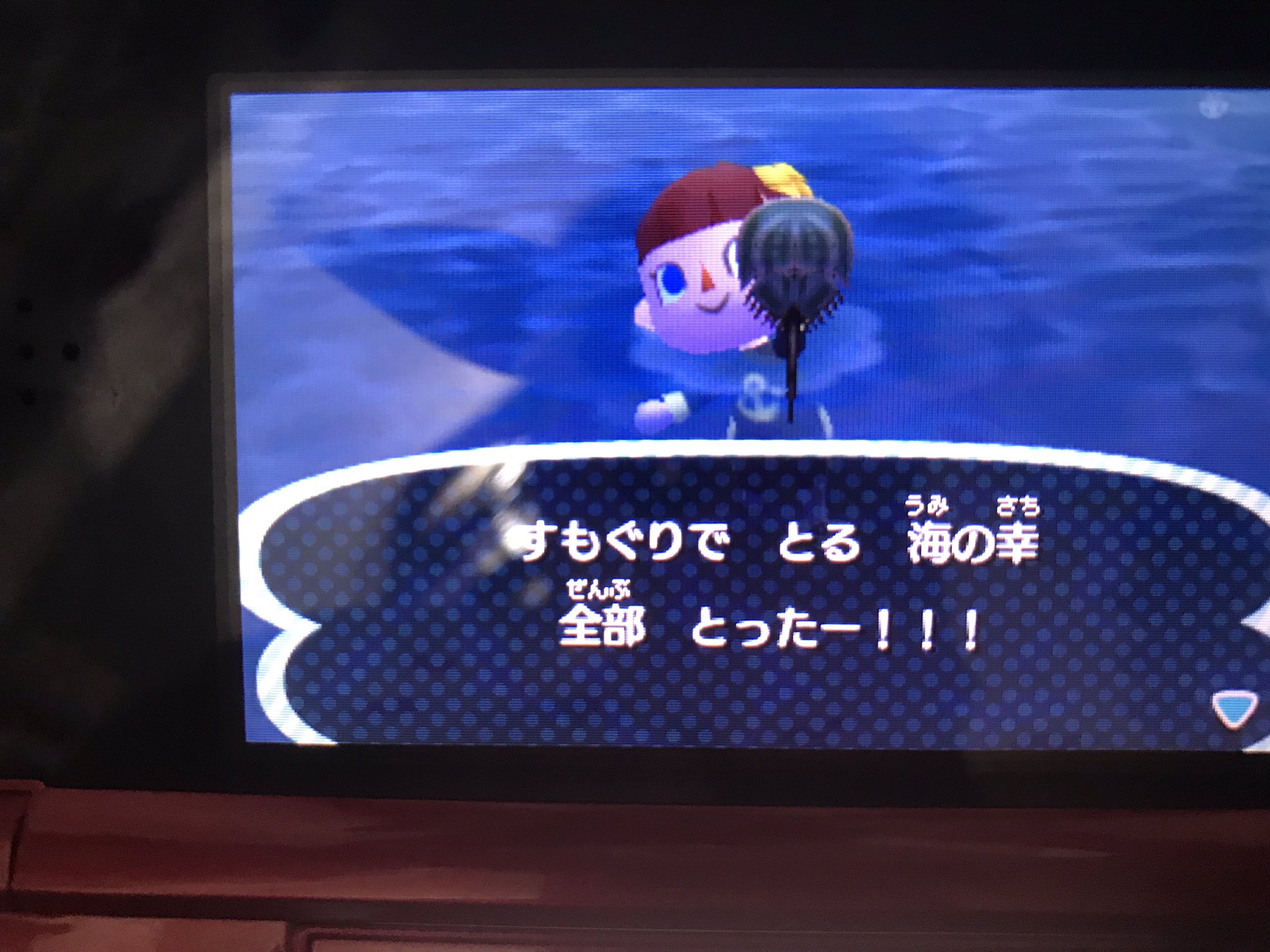 تويتر 蜜柑 みかんぼうや على تويتر とび森で海の幸コンプリートした 最後はカブトガニだった T Co 1mycvlb2zi