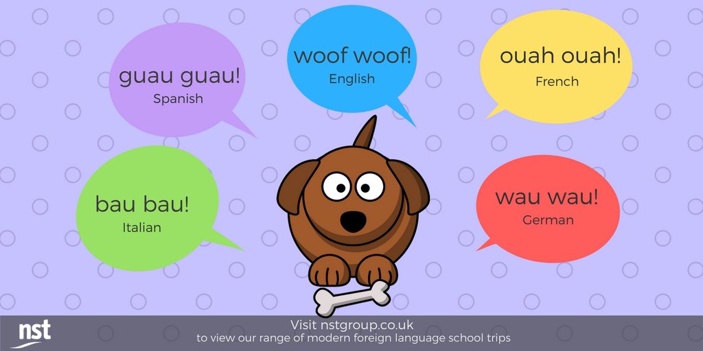 NSTLanguages's tweet photo. How do we mimic animal sounds in different languages? Here's the sound of a dog in #French, #German, #Spanish and #Italian... #JustforFun #MFL #mfltwitterati #LanguageLearning https://t.co/SRIxB3878w