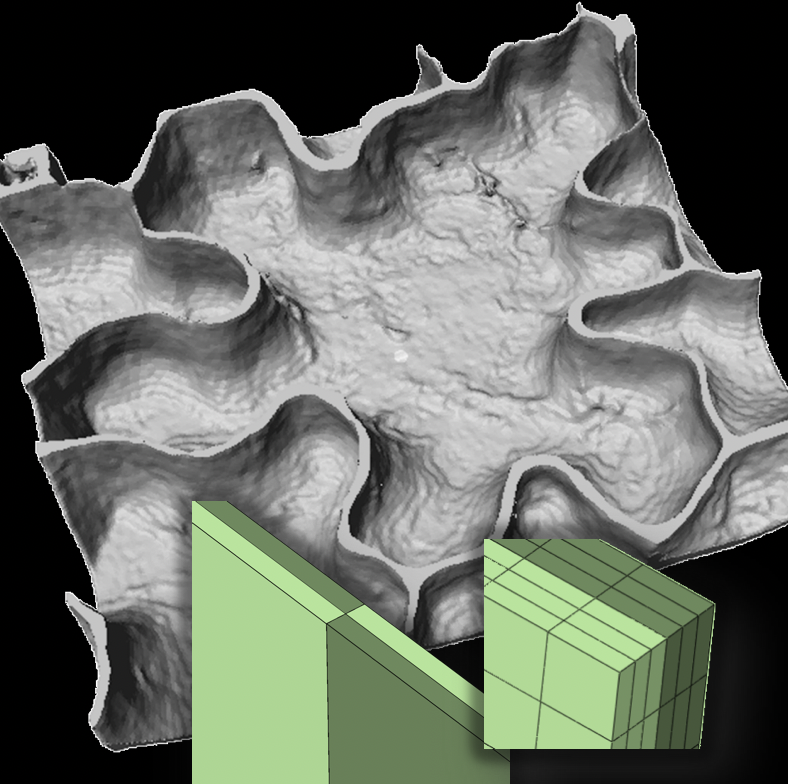 Geometry matters -

Predictive modeling of biological processes gains relevance when consistent with biological evidence and upon careful consideration of input assumptions, geometrical features, and mechanical concepts.

authors.elsevier.com/a/1ZJmg5Sx5gfp…