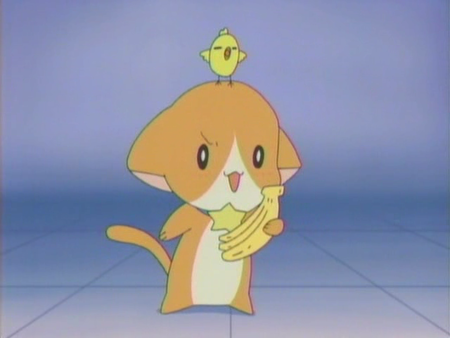 沢渡拓郎誕生祭