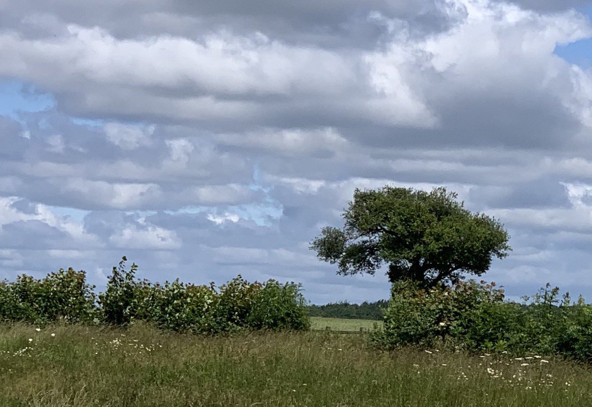 @aohereng @TriumphSSixClub @alclemCSC @OctaneJames @TheEddChina @DANNYHOPKINSPC @ClassicCarDaily @IanCallum No classic cars I was sat on mine enjoying the Cotswolds.