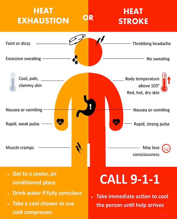 ContractSweeper's tweet image. The summer heat has arrived. Educate yourself on the signs of heat exhaustion and heat stroke-and enjoy the summer weather safely!

#Heat #HeatStroke #HeatExhaustion #HeatAwareness #Summer #Safety #Emergency #FirstAid #Contractsweeper #1800SWEEPER #streetsweeper