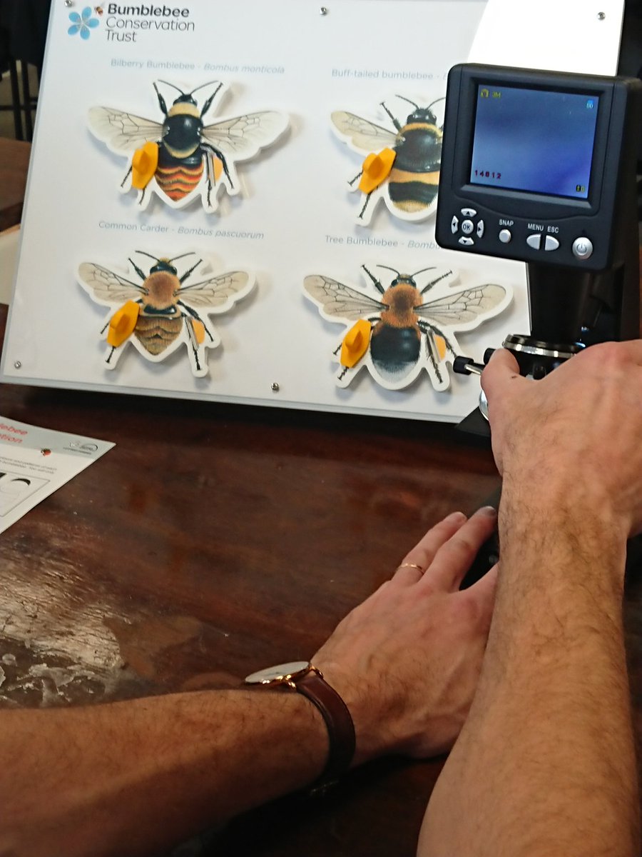 Derby High English Department tweet media