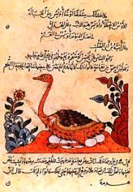 From the new Guest Editor of Mizan Project, Majid Daneshgar @majdanesh ...follow a series of reports on current research projects in the field of Islamic Studies.
By Peter Adamson <a href="/HistPhilosophy/">Peter Adamson</a> 
mizanproject.org/animals-in-phi…