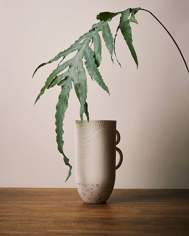 Scalloped jug with a double looped handle sitting in the shade. 🌿

#contemporaryceramics #contemporarycraft #minimalistic #slowdesign  #objectdesign #materiality #britishcraft #experimentalobjects #wabisabi #ceramic #parian #porcelain #interiorstyle … ift.tt/2FNxDAW
