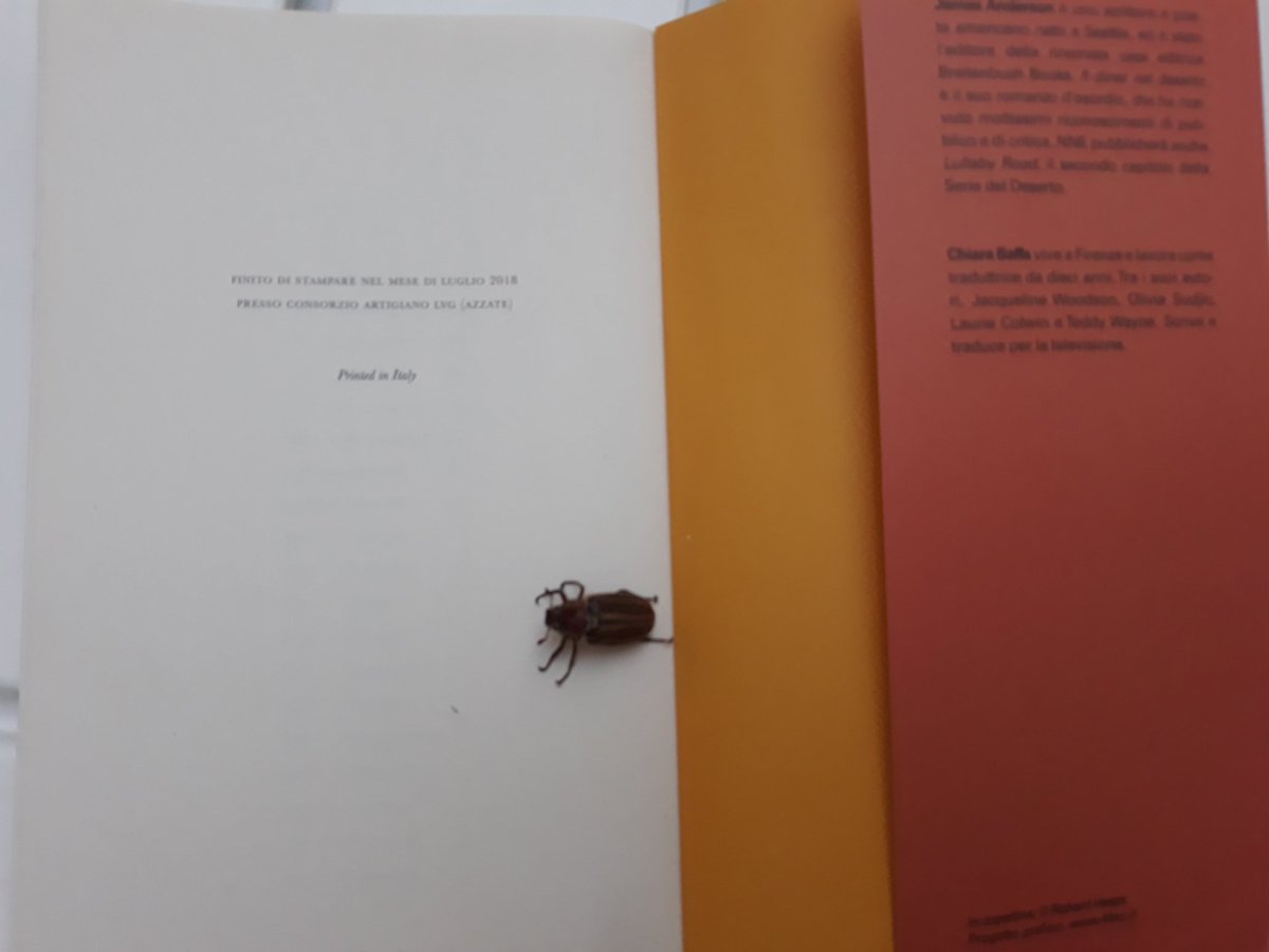 Quando anche Gregor Samsa (La metamorfosi, Kafka) legge Il diner nel deserto @JAndersonAuthor, <a href="/nneditore/">NN Editore</a> e non riesce a staccarsi dall'ultima pagina ✨