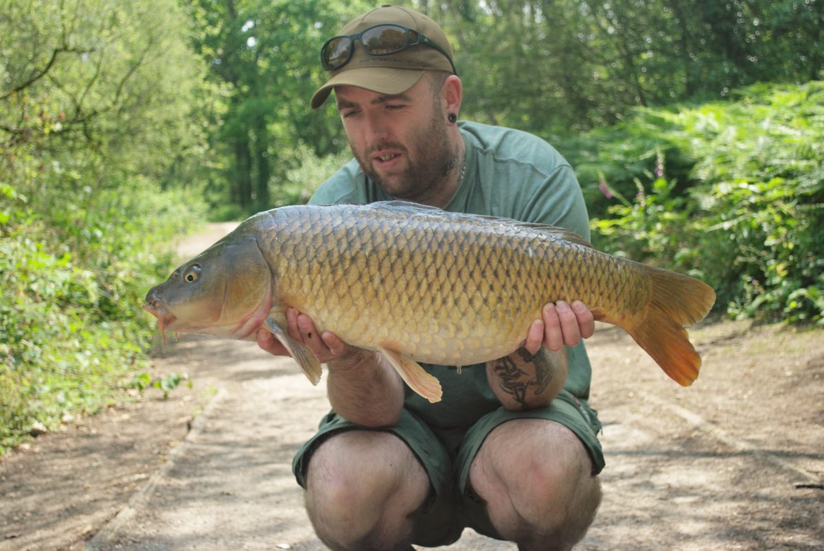 One from the weekend for our very own <a href="/JonMills86/">Jon Mills</a>, a lean upper double common from the mere taken on the <a href="/StickyOfficial/">Sticky Baits</a> krill..... Well done bud... 🎣 

Thetacklestore.co.uk

#thetacklestore #chester <a href="/LymmAC/">Lymm Angling Club</a> #chestertweets #fishing #stickybaits