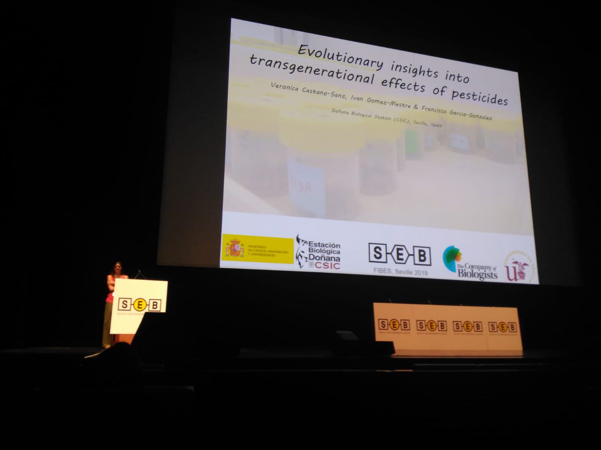 Verónica Castaño Sanz (@vero_castano_95) on Twitter photo I want to thank <a href="/SEBiology/">SEB @sebiology.bsky.social</a> for giving me the opportunity to share my first steps in academia #SEB2019 . And thank you all you were there listening to the presentation 🥳 I want to thank <a href="/SEBiology/">SEB @sebiology.bsky.social</a> for giving me the opportunity to share my first steps in academia #SEB2019 . And thank you all you were there listening to the presentation 🥳