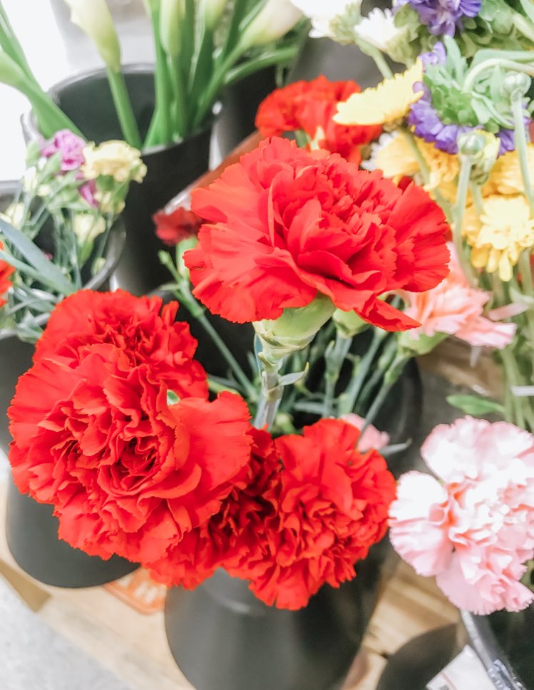 bmez12xo's tweet image. Saw this @ the grocery store the other day 🥰 #WaitForMeChallenge c ya ! This fall @hadestown ✨🎃🍂 #waaaaaitforme 💗✨🌹💯