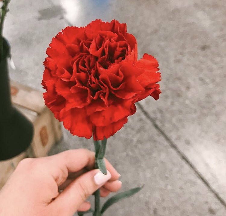 bmez12xo's tweet image. Saw this @ the grocery store the other day 🥰 #WaitForMeChallenge c ya ! This fall @hadestown ✨🎃🍂 #waaaaaitforme 💗✨🌹💯