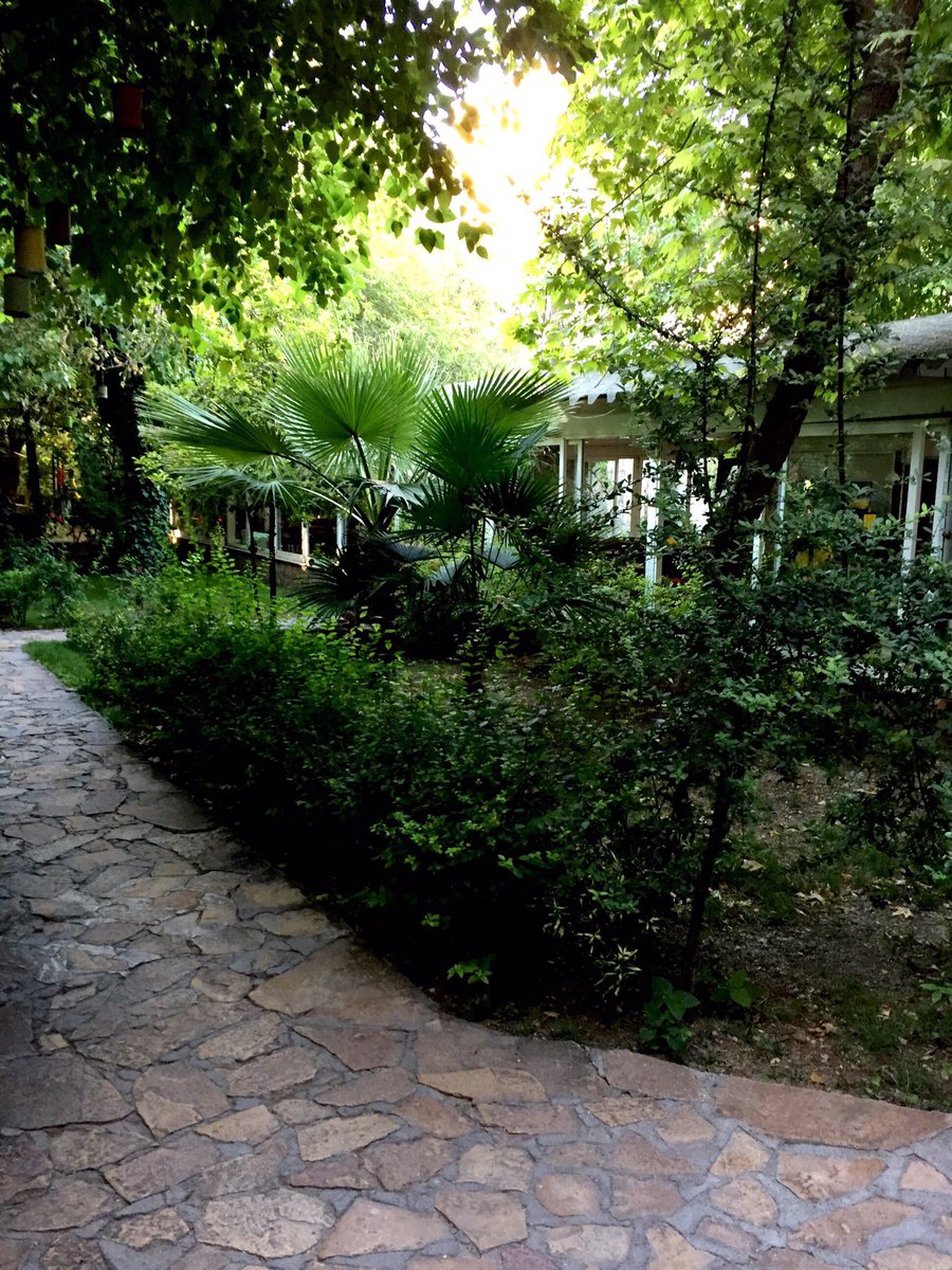 radxx (@radx46719991) on Twitter photo 