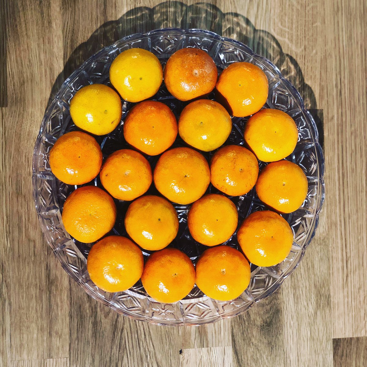 homebaseworks's tweet image. Won’t you be my darlin clementine? Come by to see the space today!🤓