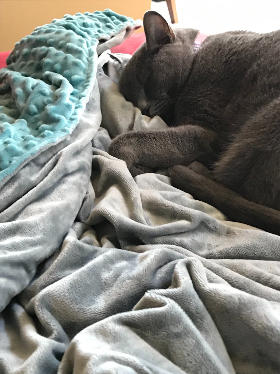My #SonnoZona #WeightedBlanket was a snap to unpack, feels luxuriously soft, improves relaxation and promotes a calmer sleep... but my family keeps "borrowing" it from my bed!! Find out more about their amazing weighted blankets now! -- #ad sonnozona.com